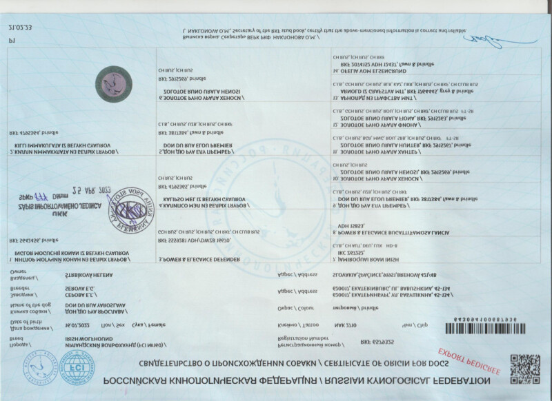 Rodokmen slovensky
